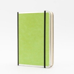 Notebook BASIC COLOUR green | A 5, 144 sheet blank