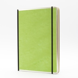 Notebook BASIC COLOUR green | A 4, 96 sheet blank