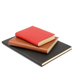 Daily Planner CLASSIC 