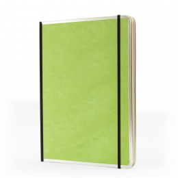 Notebook BASIC COLOUR green | A 4, 96 sheet blank