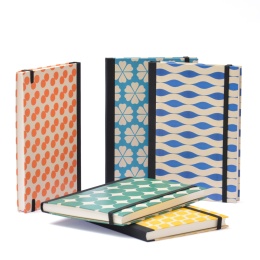 Notebook GINA 