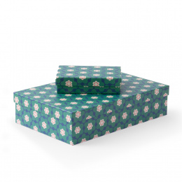 Box Antwerpen 