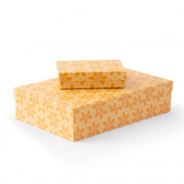 Box Nizza