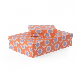 Box Toledo 