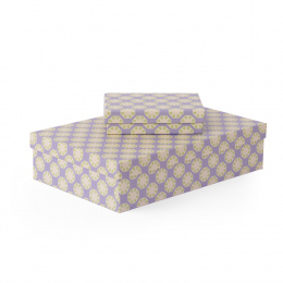 Box Valencia 